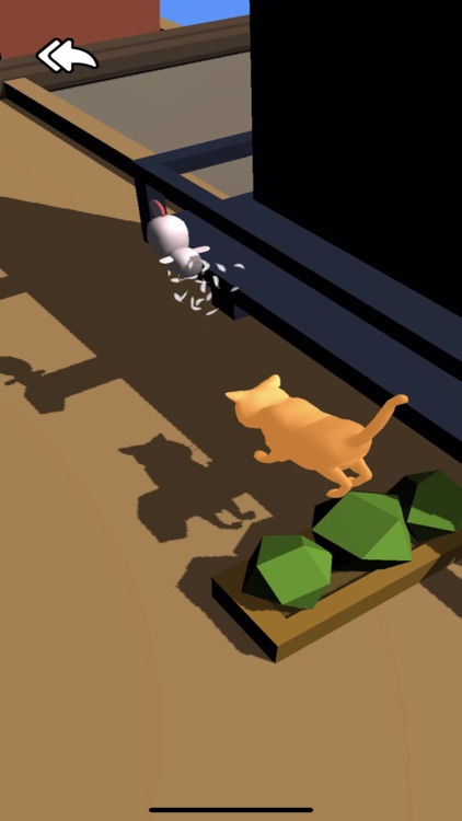 Cat's Dreams 3D