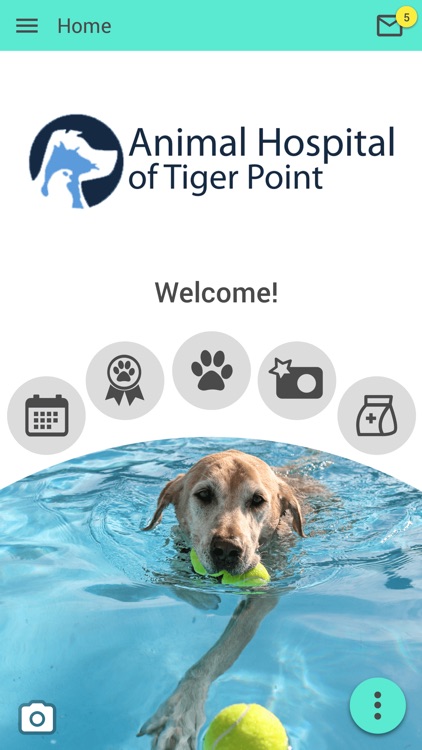 Tiger Point Vet