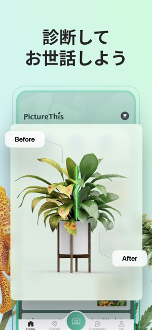 Picturethis 撮ったら 判る 1秒植物図鑑 をapp Storeで