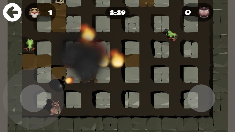 Bomber Animal Heroes screenshot-3