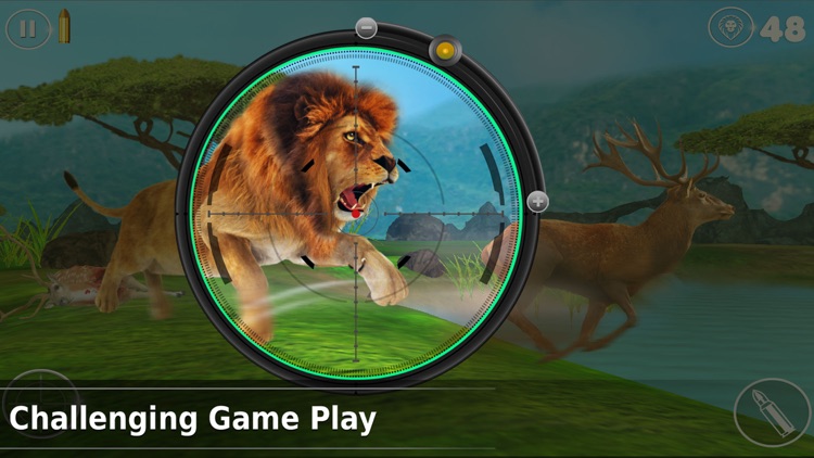 Lion Hunting - Hunting Games screenshot-3