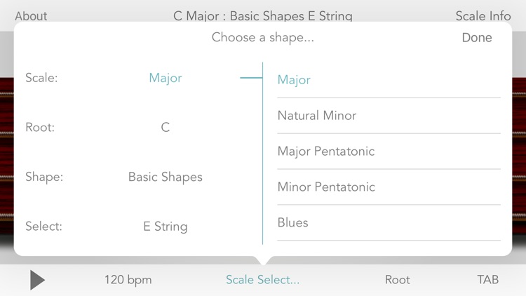 Scales For Bass Guitar