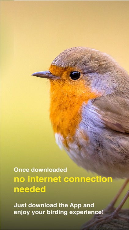 All Birds UK - the Photo Guide screenshot-7