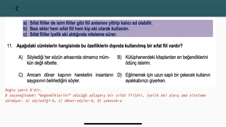 Deneyim Türkçe Denemeleri screenshot-5