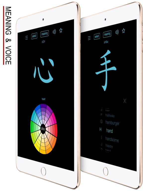 Chinese Words & Writing screenshot 3