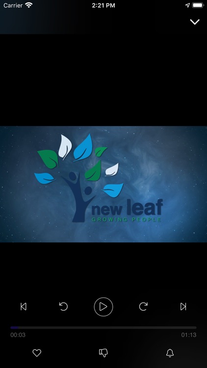 New Leaf Technologies screenshot-6