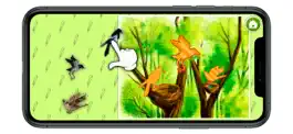 Game screenshot KidsDi: World birds' puzzle hack