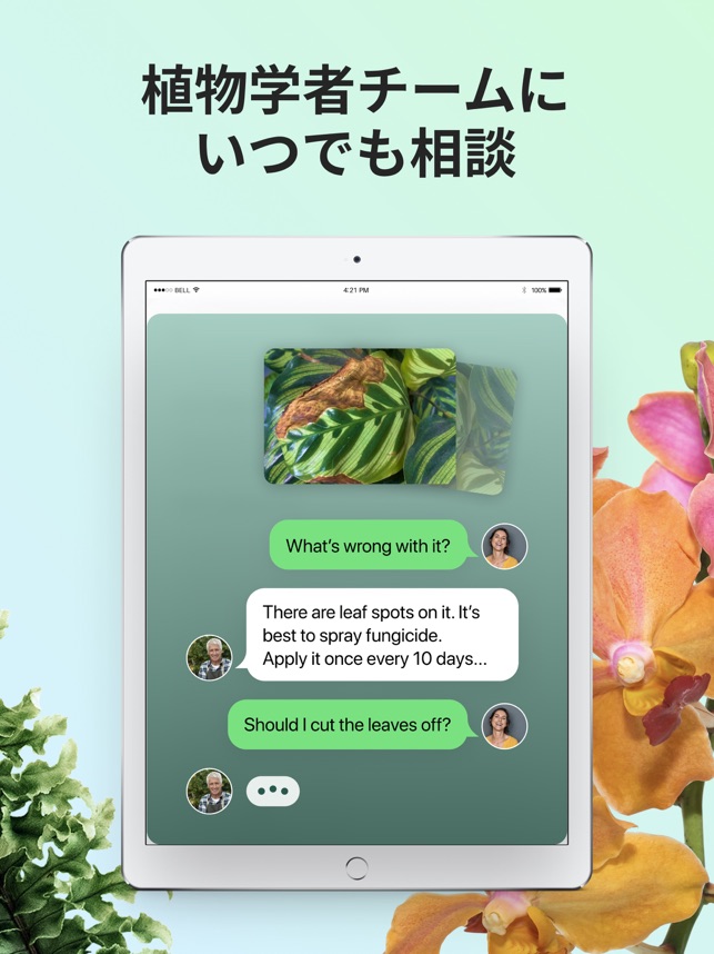 Picturethis 撮ったら 判る 1秒植物図鑑 をapp Storeで