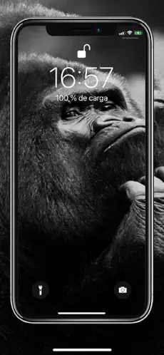 Captura de Pantalla 2 Animal Wallpapers iphone