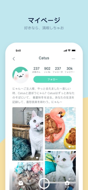 Catus(圖4)-速報App