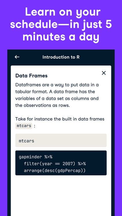 DataCamp: Learn Data Science screenshot-5