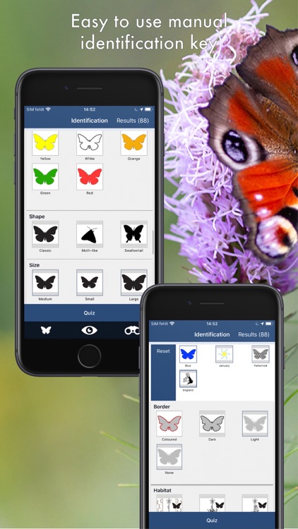 Butterfly Id - UK Field Guide screenshot-8