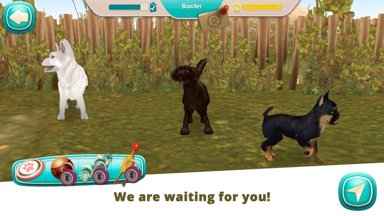 DogHotel Premium screenshot-6