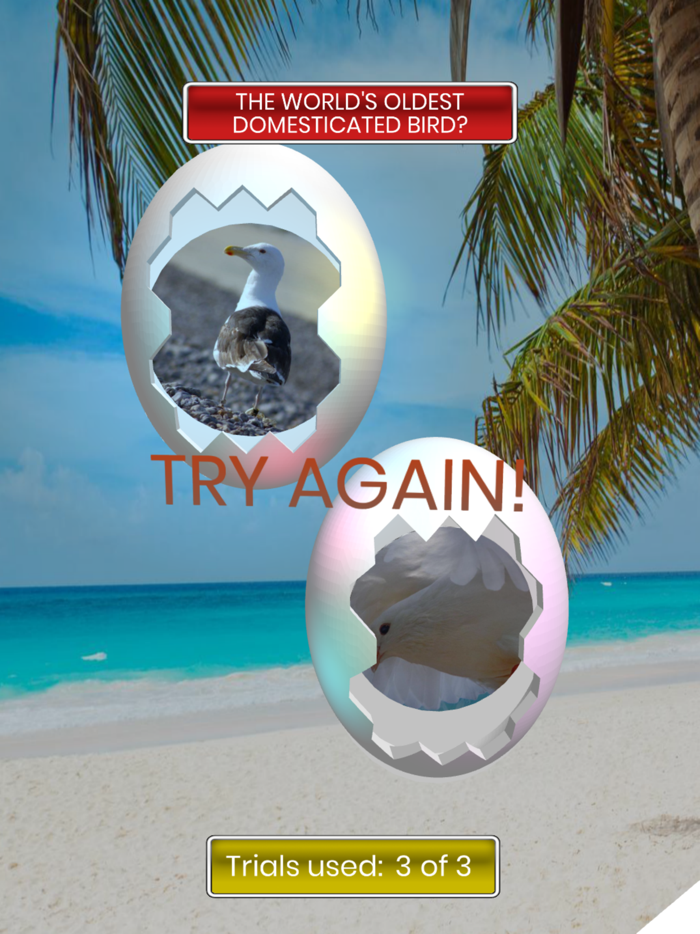 Egg Challenge – A Trivia Game