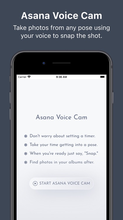 Asana Voice Cam