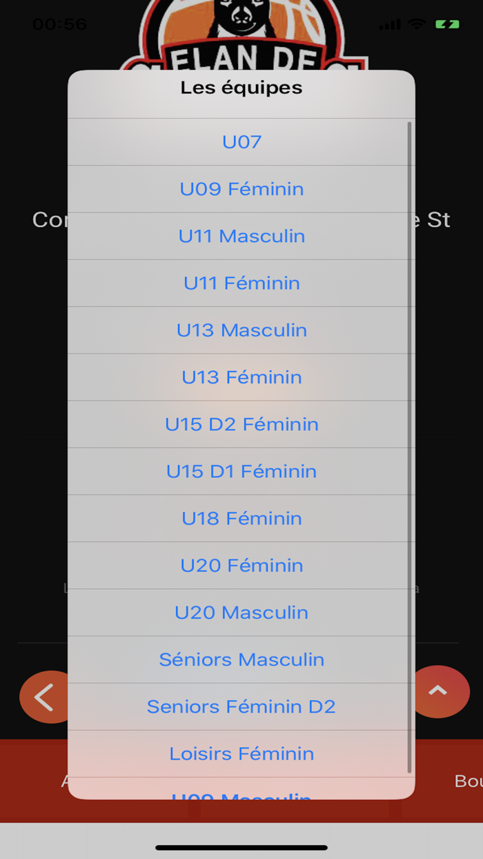 Elan De Gorges Basket-Ball