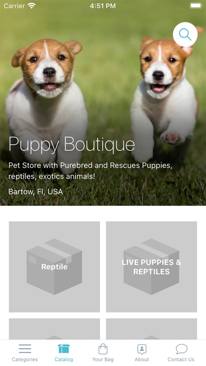 Puppy Boutique