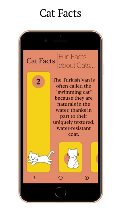 Cat Facts:Fun Facts about Cats