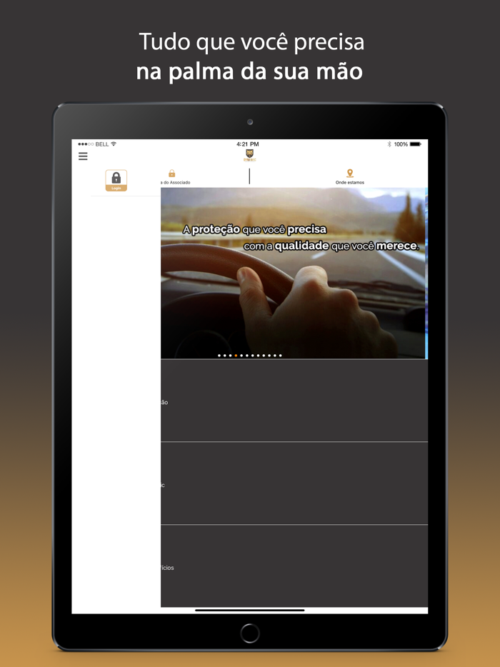 Dynamic Proteção Veicular