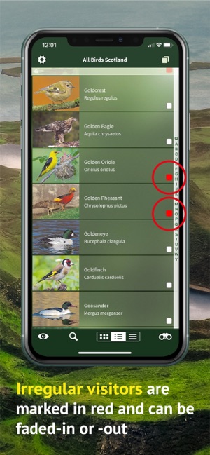 All Birds Scotland Photo Guide(圖6)-速報App