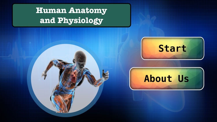 Human Anatomy and Physiology