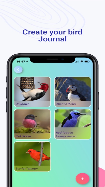 Birdify - Bird Identifier screenshot-5