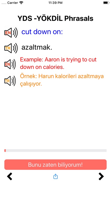 diloloji Phrasal Verbs