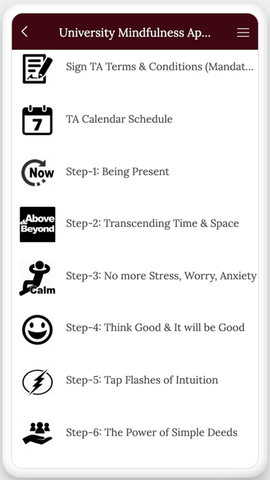 MiBSM Mindfulness TA-Training screenshot 3