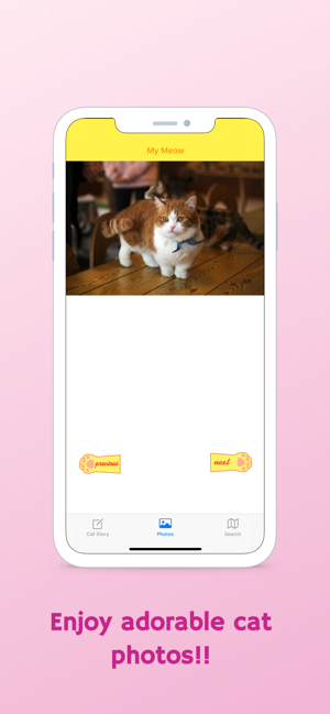 My Meow - Cat Diary, Cat Photo(圖3)-速報App