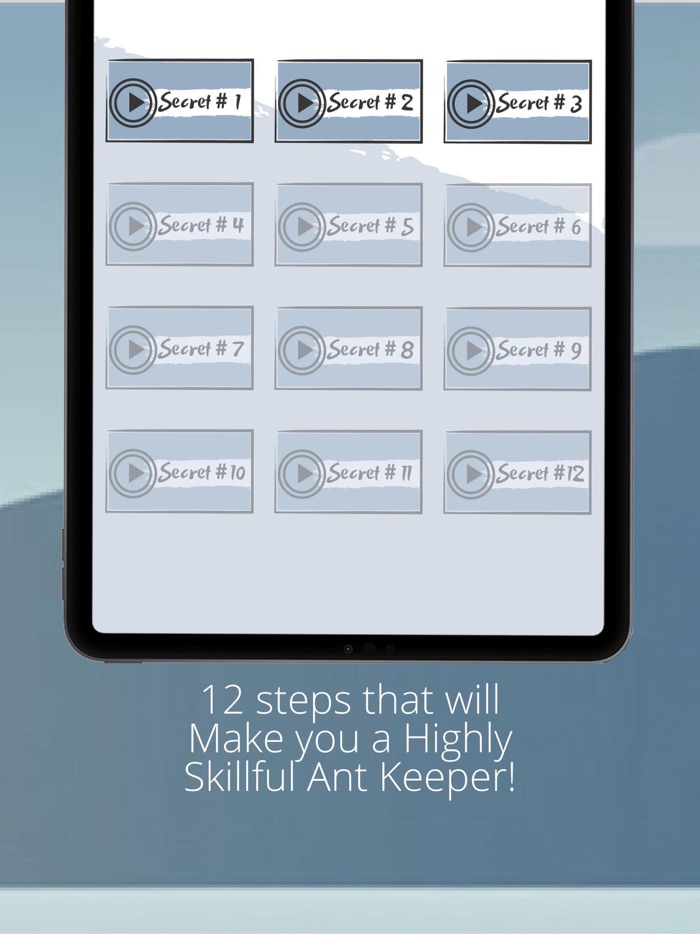 Ant Farm Colony Bug Tunnel App