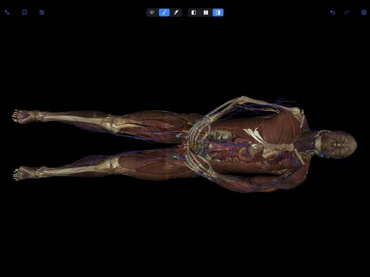 VH Dissector Pro screenshot-8