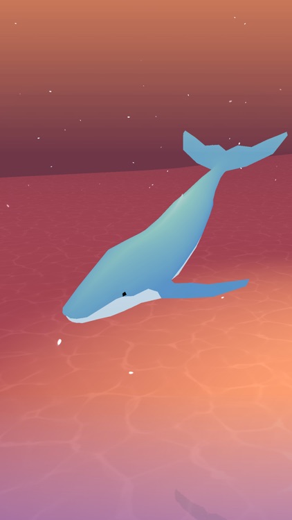 Whale World