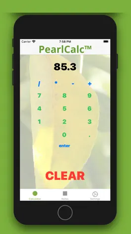 Game screenshot PearlCalc - Mobile Calculator mod apk
