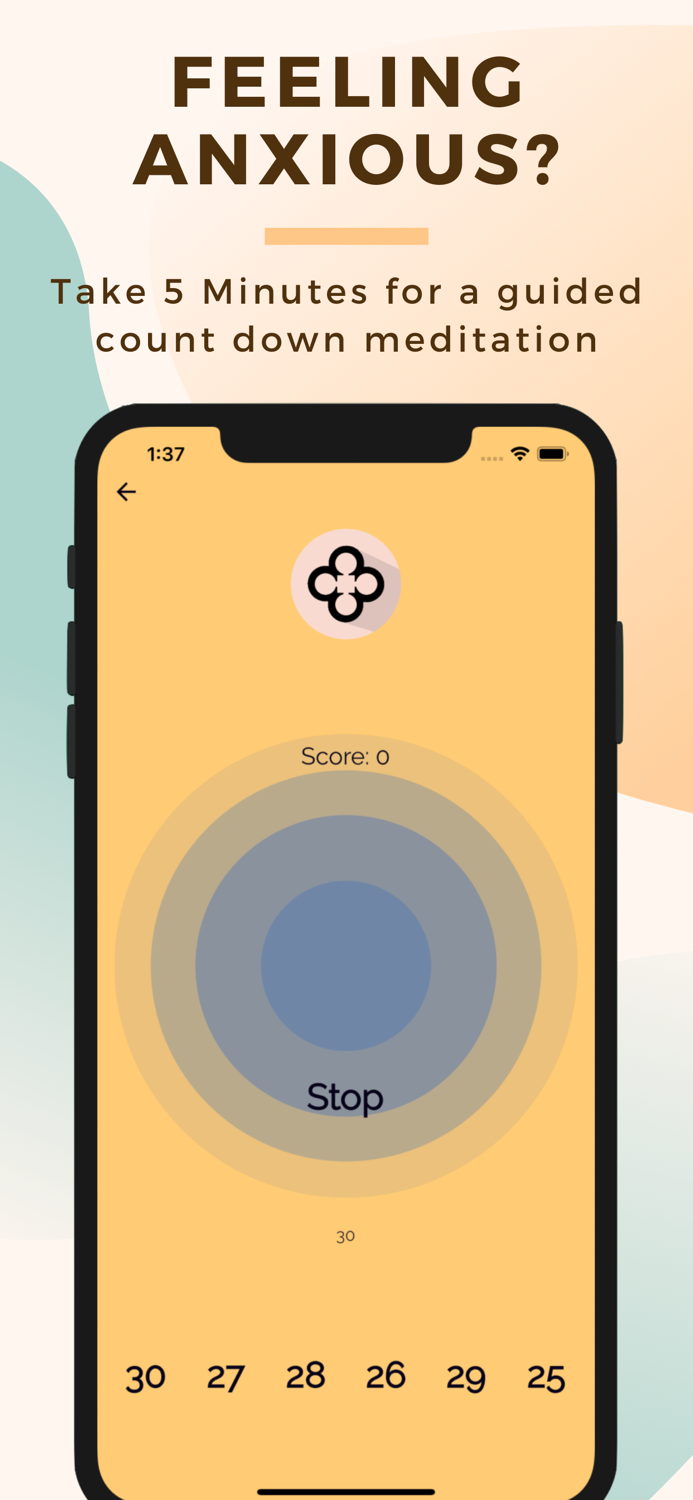 Sanebrain Pro - Strong Mindset