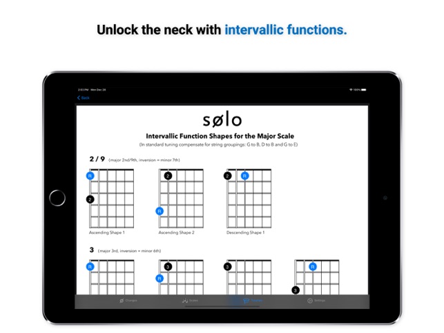 Solo - Fretboard Visualization on the App Store
