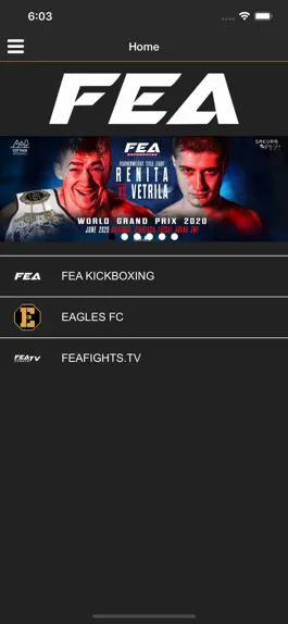 Game screenshot Fighting Entertainment As. apk
