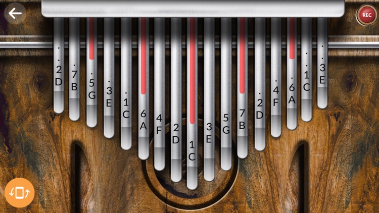 Real Kalimba
