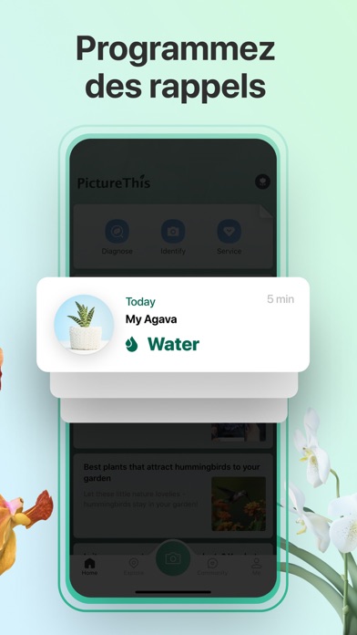 PictureThis-Identifier Plantes PictureThis-Identifier Plantes
