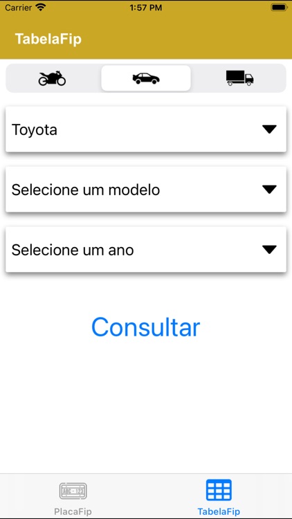 PlacaFip screenshot-3