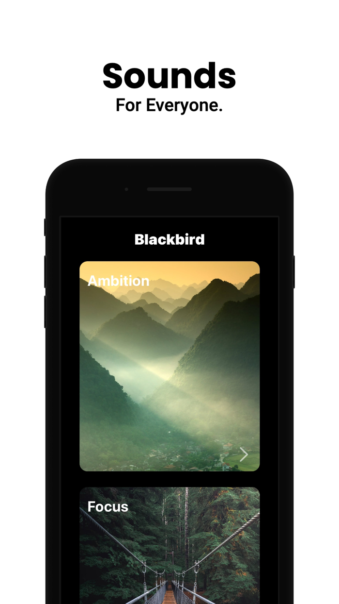 Blackbird - Sleep  Meditation