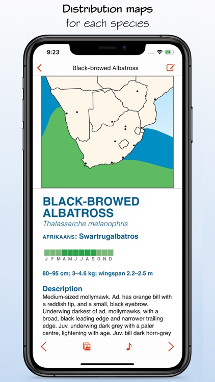 Sasol eBirds South Africa LITE screenshot-7