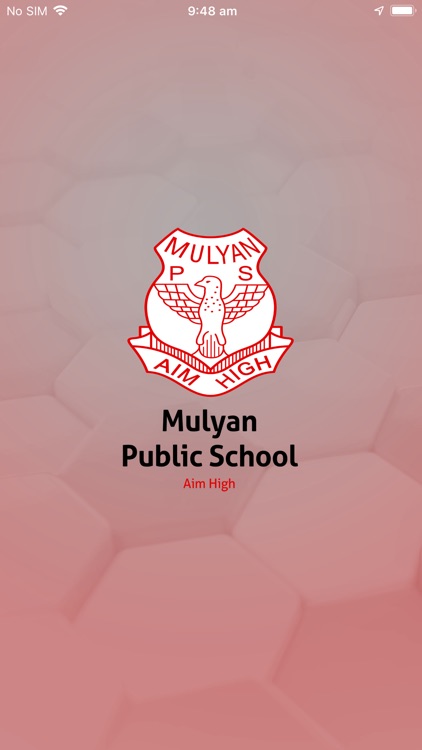 Mulyan Public School