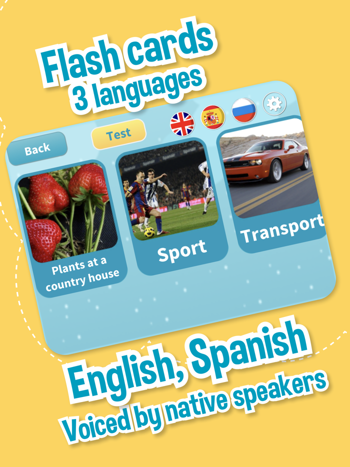 Smarty pants – Flashcards