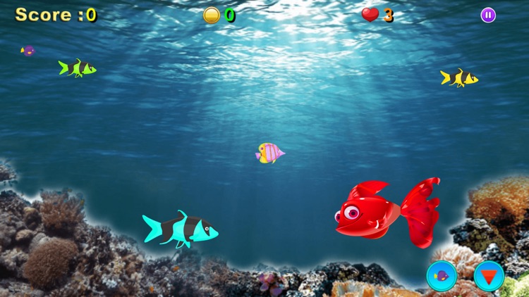 Ocean Fishing Master 3D Games screenshot-4