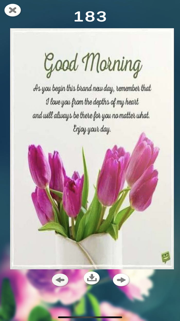 Morning Motivation Quotes