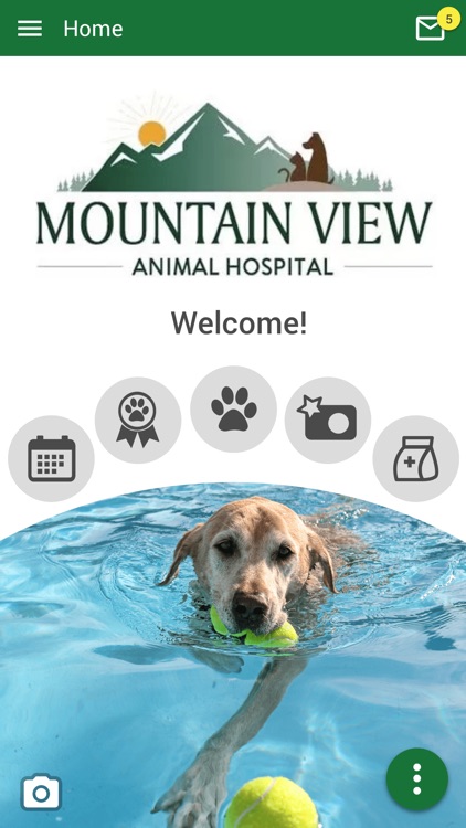 Mountain View Animal Hospital