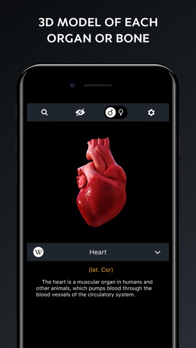 Human Body Atlas: 3D Medical screenshot 3