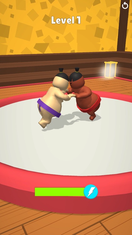 Sumo Life 3D