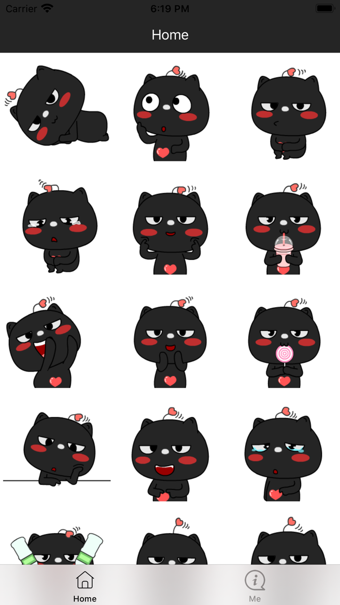 Little Black Cat Expression