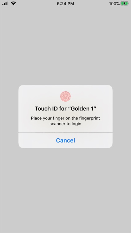 Golden 1 Card Controls